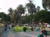 Dcp00261.jpg (68279 �o�C�g)