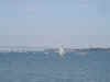CoronadoIsland.JPG (66771 �o�C�g)