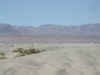 SandDunes.JPG (63331 バイト)