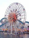 sunwheelP.jpg (65520 �o�C�g)
