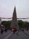 Dcp00733.jpg (43381 �o�C�g)