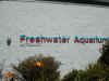 FreshwaterAquarium.JPG (47855 �o�C�g)