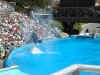 ShamuAdventure1.JPG (82168 �o�C�g)