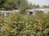 RoseGarden.JPG (140893 �o�C�g)