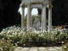 ShakespeareGarden.JPG (134300 �o�C�g)